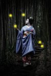 6 - REBIRTH OF THE FIREFLIES - YONG ROBIN - australia <div